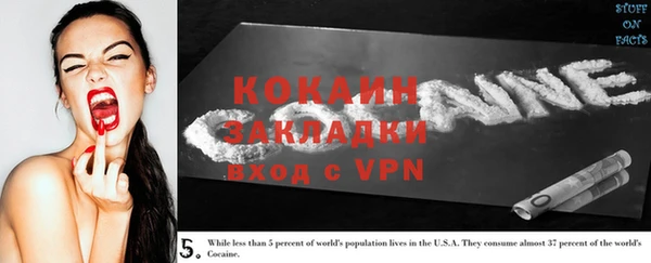 прущие грибы Абинск