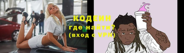 прущие грибы Абинск