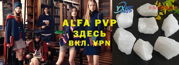 прущие грибы Абинск