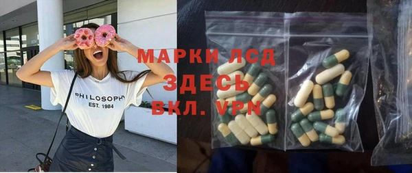 прущие грибы Абинск