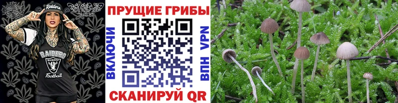хочу наркоту Красково Галлюциногенные грибы Magic Shrooms